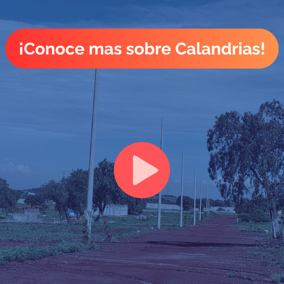 Adquiere tu lote en Calandrias