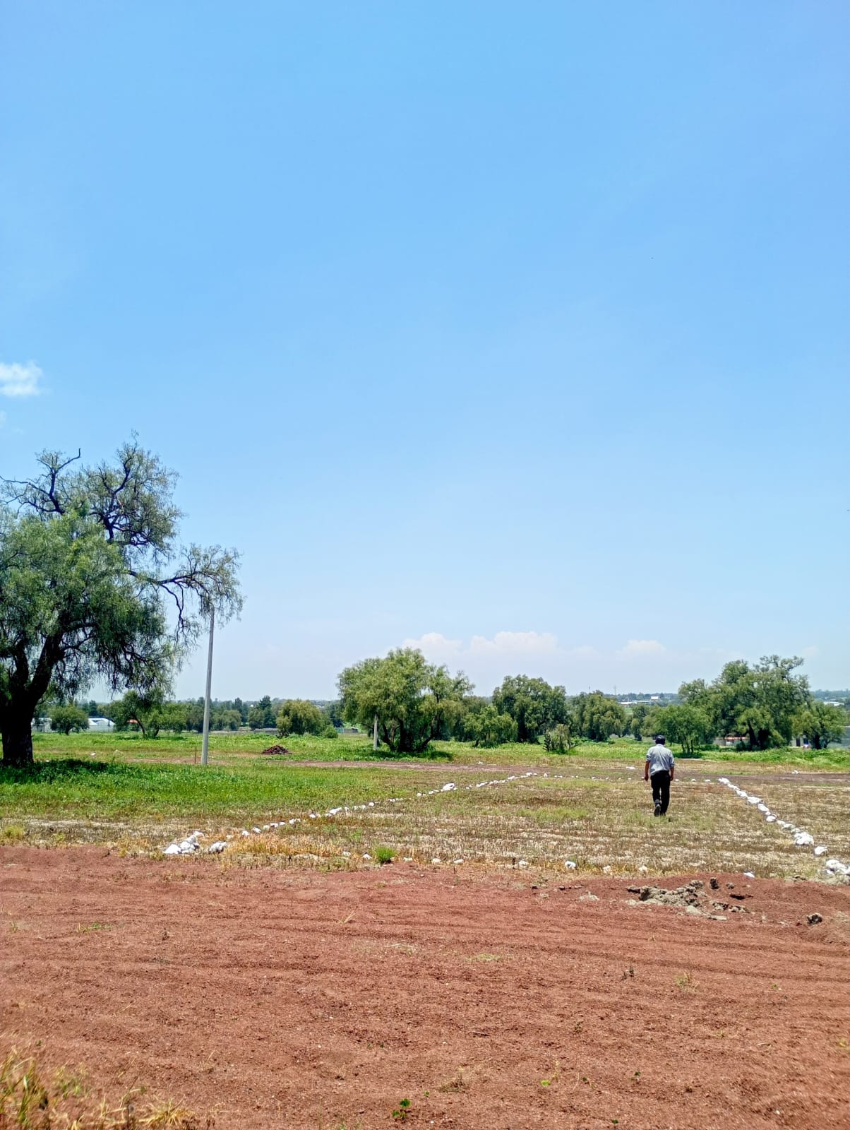 Terrenos con alta plusvalía