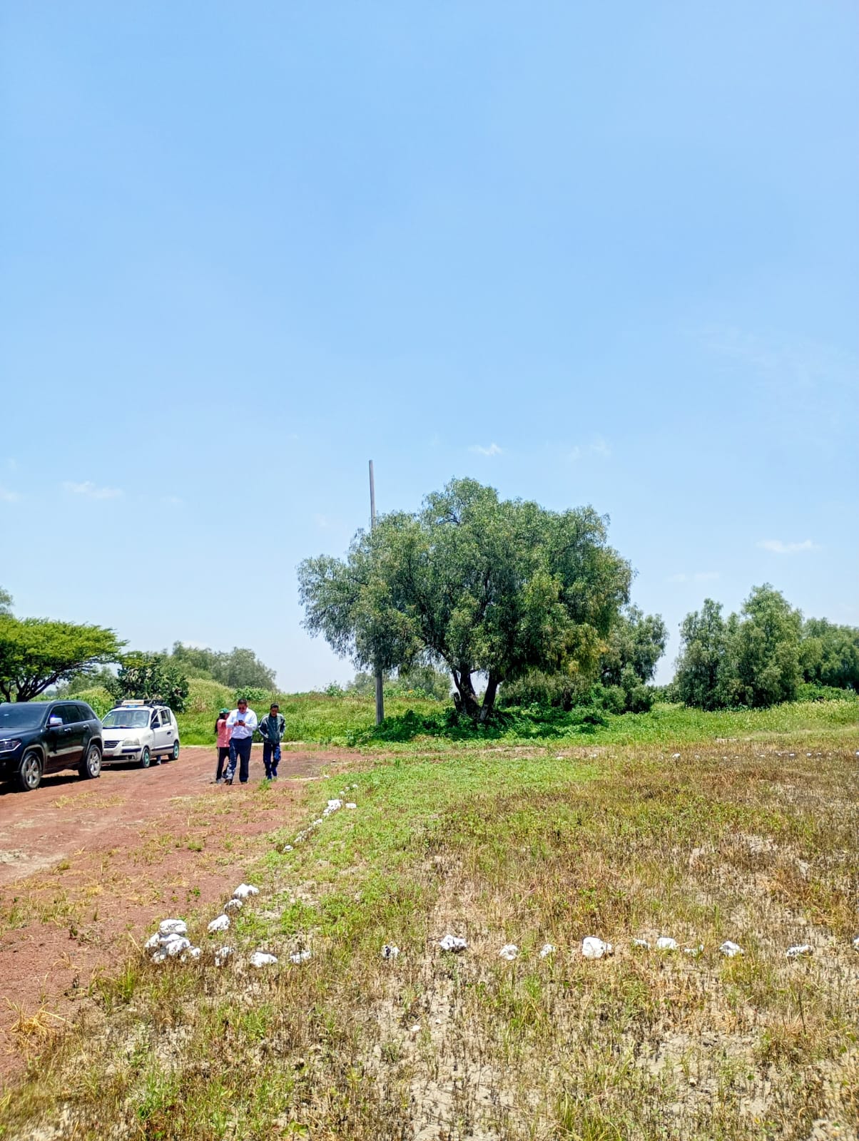 Terrenos con alta plusvalía